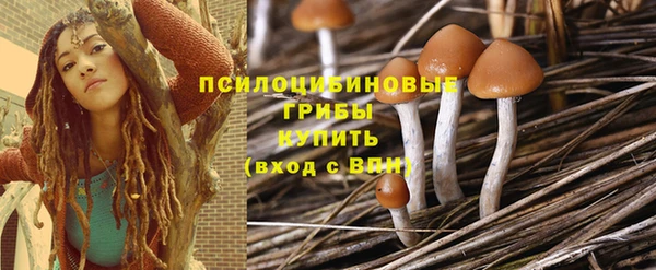 apvp Абаза