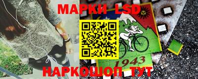 mdpv Камышлов