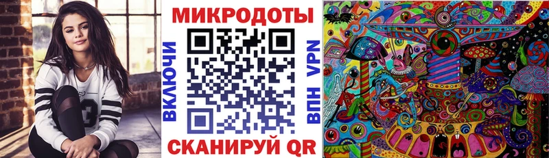 закладки  Комсомольск-на-Амуре  Галлюциногенные грибы GOLDEN TEACHER 
