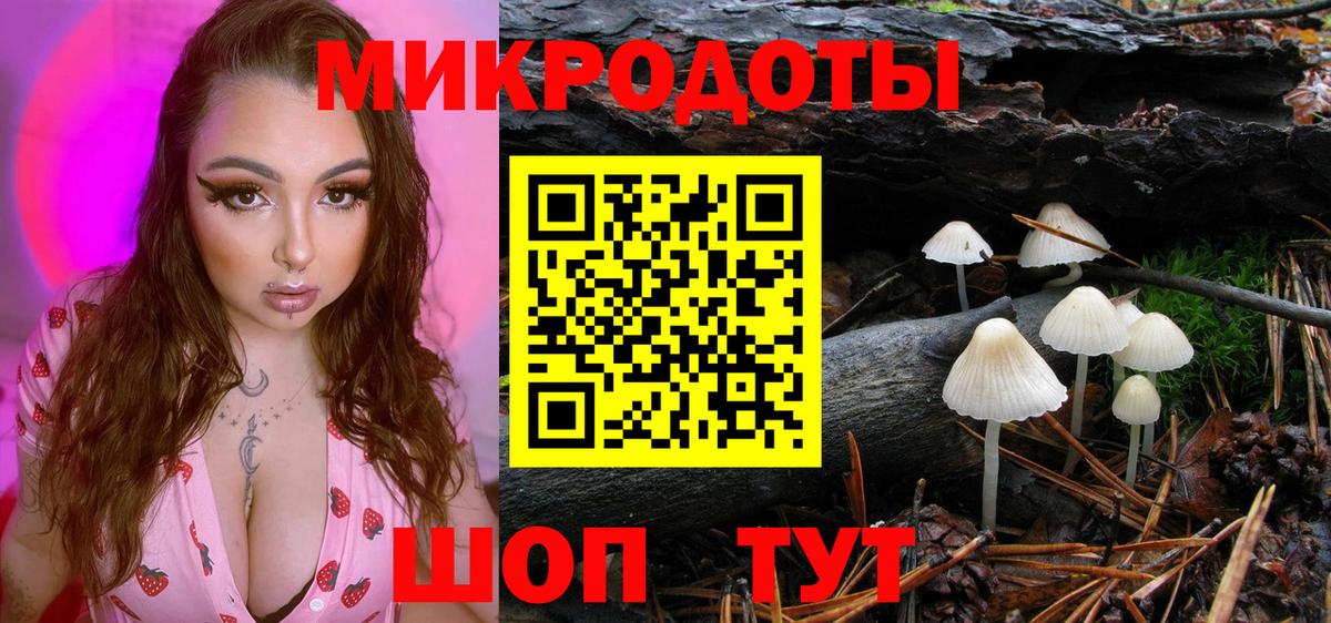 Галлюциногенные грибы мицелий Комсомольск-на-Амуре