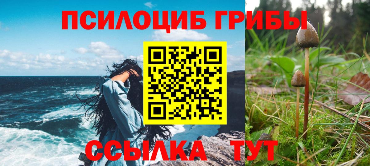Псилоцибиновые грибы GOLDEN TEACHER  Вход с VPN  Комсомольск-на-Амуре  Галлюциногенные грибы Magic Shrooms 